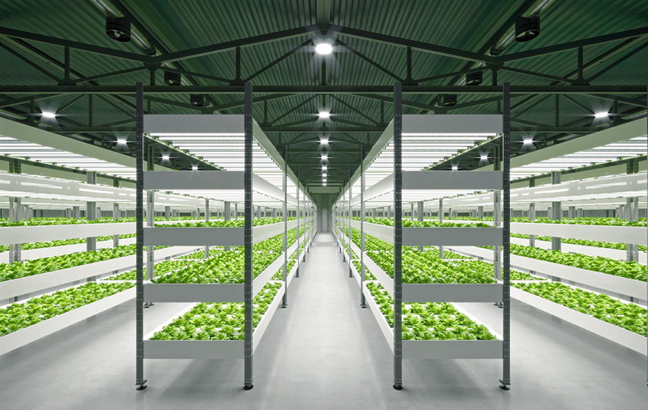 首页- 腾博官网诚信为本,专业服务!